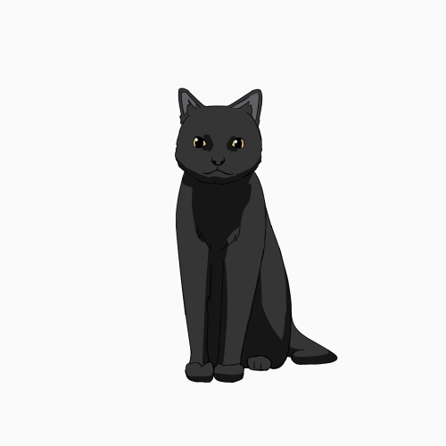 黒猫の動く画像