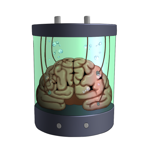 脳缶