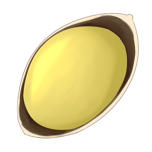 銀杏の中身のフリー素材サンプル画像