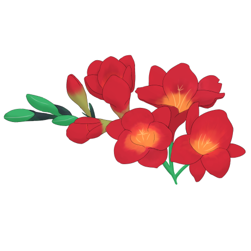 フリージア(赤)のフリー素材サンプル画像