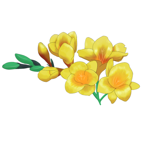 フリージア(黄)のフリー素材サンプル画像