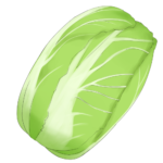 白菜のフリー素材サンプル画像