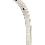 チンアナゴのフリー素材サンプル画像